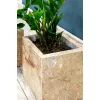 Травертин Red Travertine CC